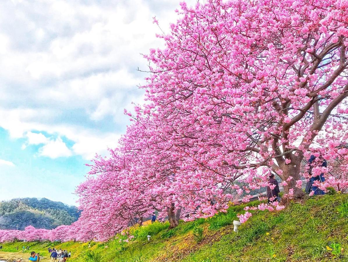 Shimoda Yamatokan Exterior foto